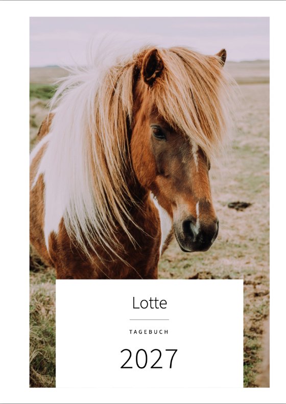 Umschlag: das Foto eines gescheckten Ponys mit heller Mähne, darauf ein weißes Feld mit „Lotte“, „Tagebuch“, „2027“