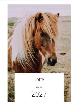 Cover with a photo of a skewbald pony with a pale mane: Lotte, Diary, 2027