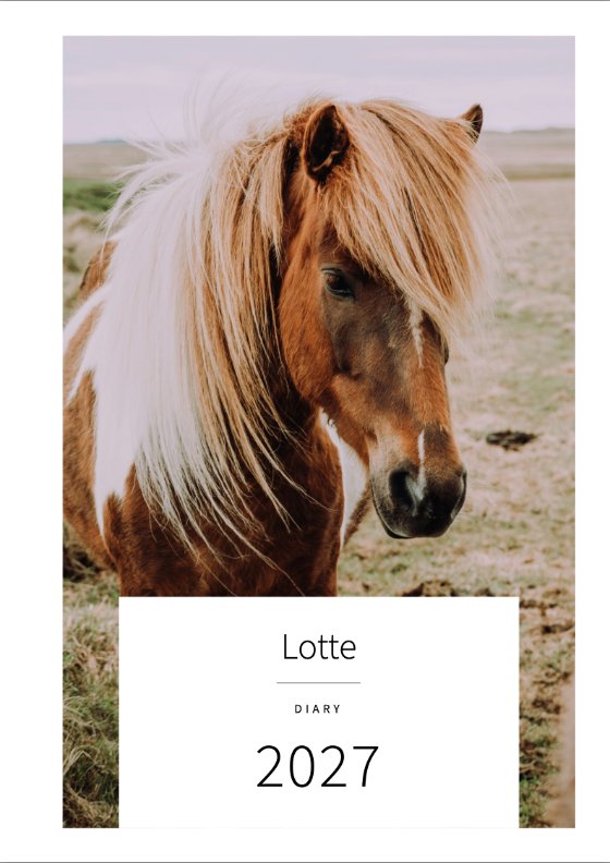 Cover: the photo of a skewbald pony with a pale mane, on it a white panel with ‘Lotte’, ‘Diary’, ‘2027’
