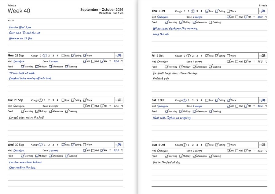 A filled-in week spread: for every day the cough scale, rest, eating and work, the medication, the temperature, the meals and initials